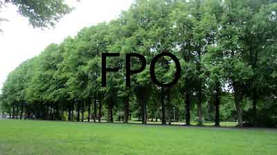 Lorem ipsum dolor sit amet
